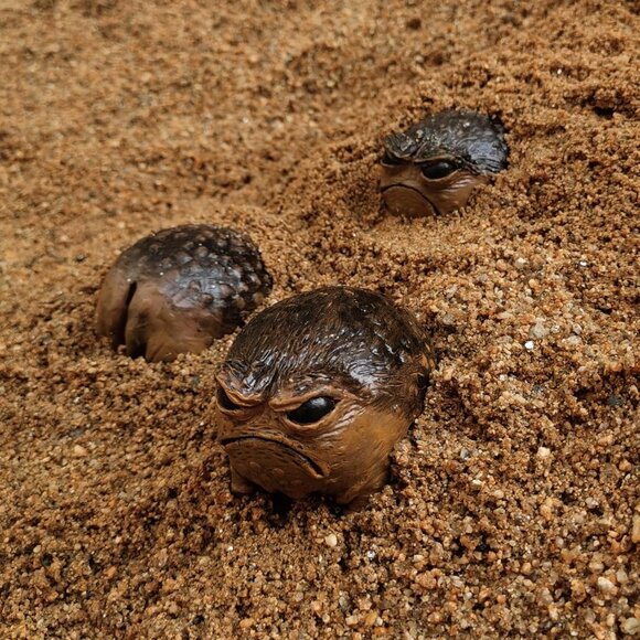 Grumpy Frog Toad Statue Ugly Angry Outdoor Garden Yard Fun Home Office Decor - Picture 5 of 8